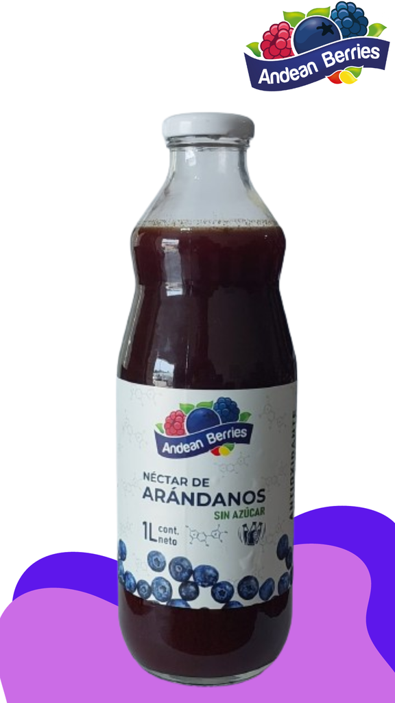 JUGO DE ARANDANO SIN AZUCAR 1lt