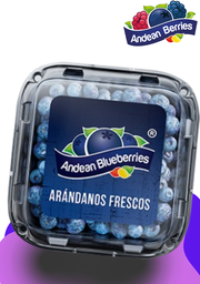 [100006] ARANDANOS FRESCOS 125 GR