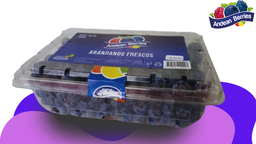 [100007] ARANDANOS FRESCOS 500 GR